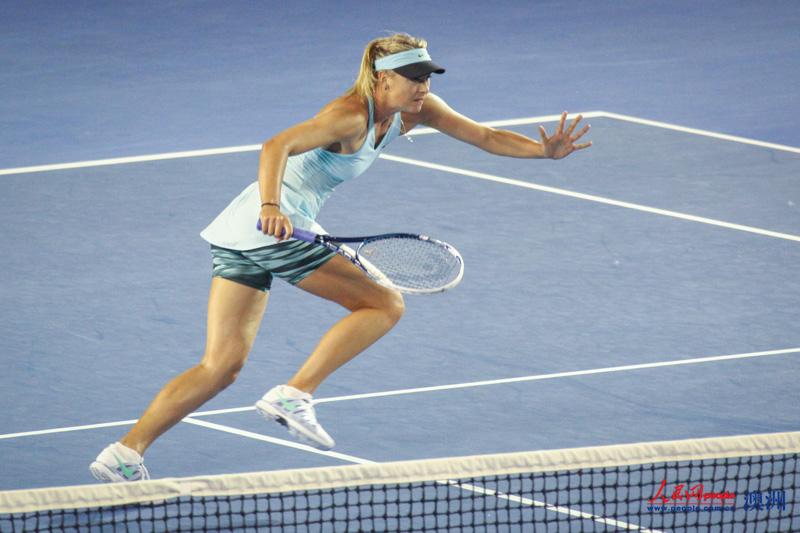 澳網女單首輪 莎拉波娃輕松淘汰美國選手