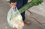 海南菜價房租遭吐槽