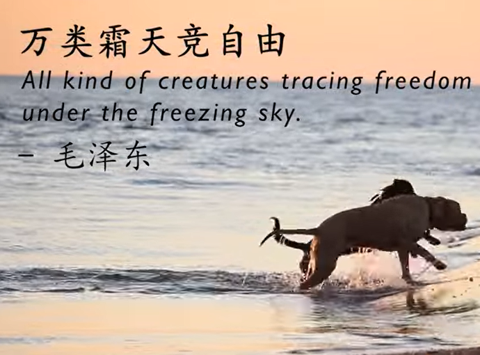 2020最佳體驗獎